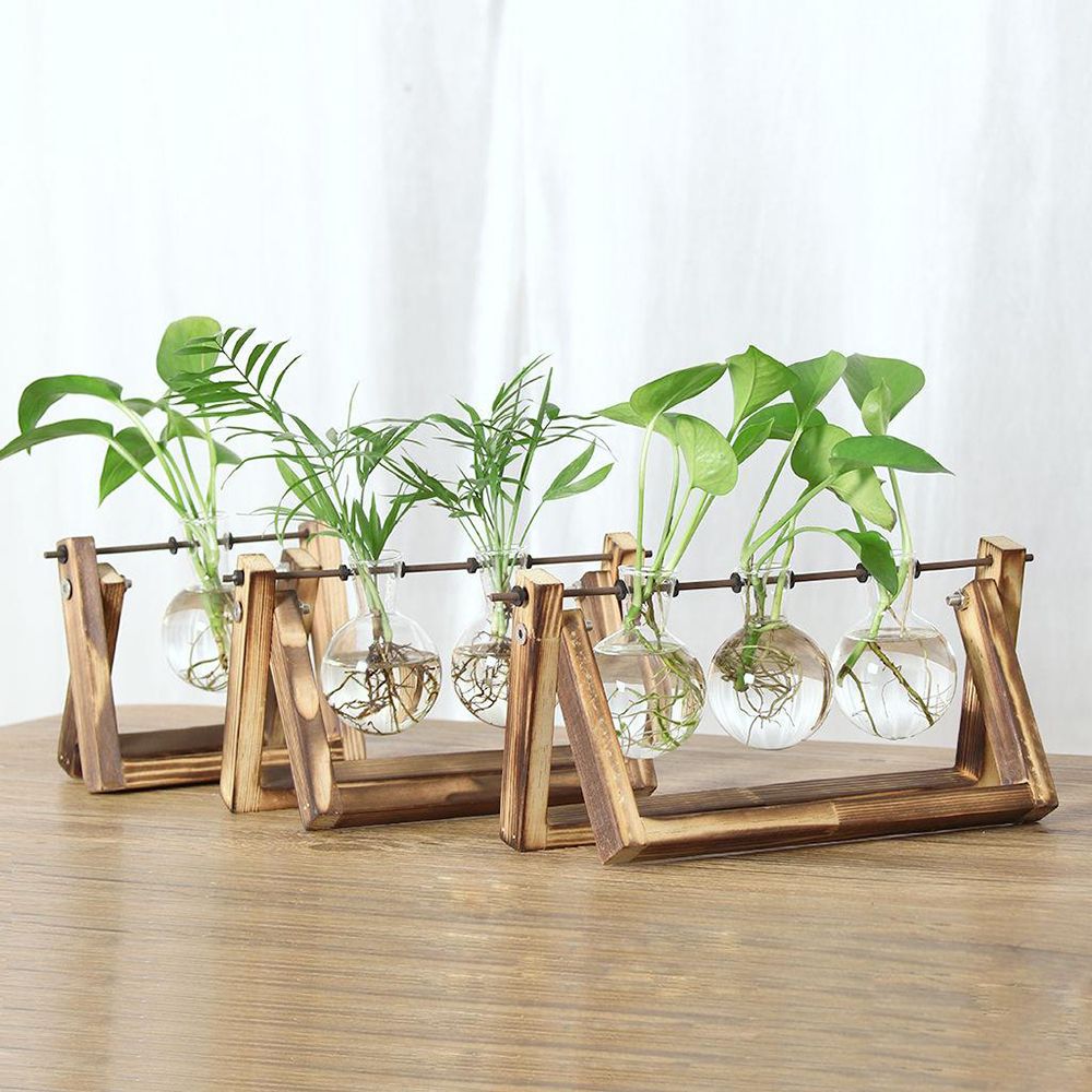 Hydroponic Plant Vases Glass V – обзор и цена Glass Vase Nordic
