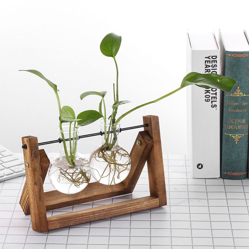 Hydroponic Plant Vases Glass V – обзор и цена Glass Vase Nordic