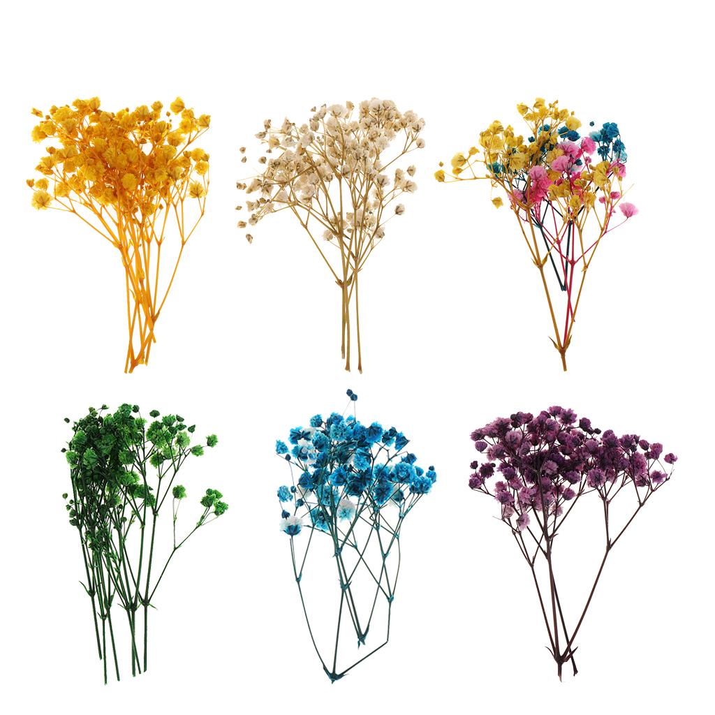 Pressed Dried Natural Flowers  – обзор и цена Dried Flower Bouquet