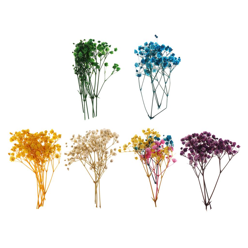 Pressed Dried Natural Flowers  – обзор и цена Dried Flower Bouquet