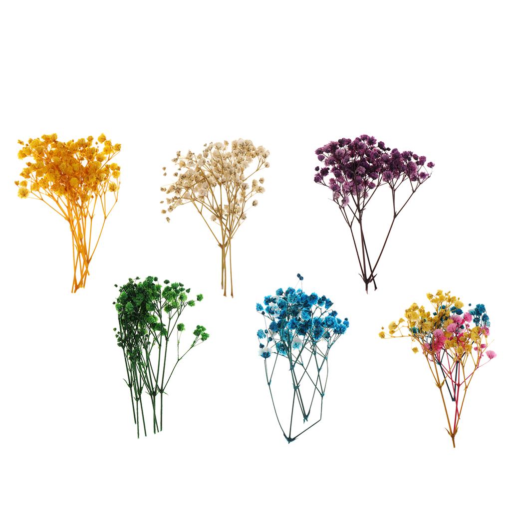 Pressed Dried Natural Flowers  – обзор и цена Dried Flower Bouquet