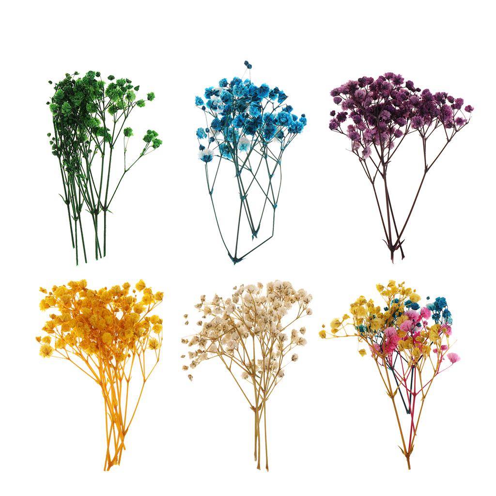 Pressed Dried Natural Flowers  – обзор и цена Dried Flower Bouquet