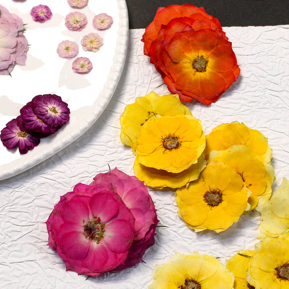 48 Yellow Mixed-Size Pressed R – обзор и цена Dried Flower Bouquet