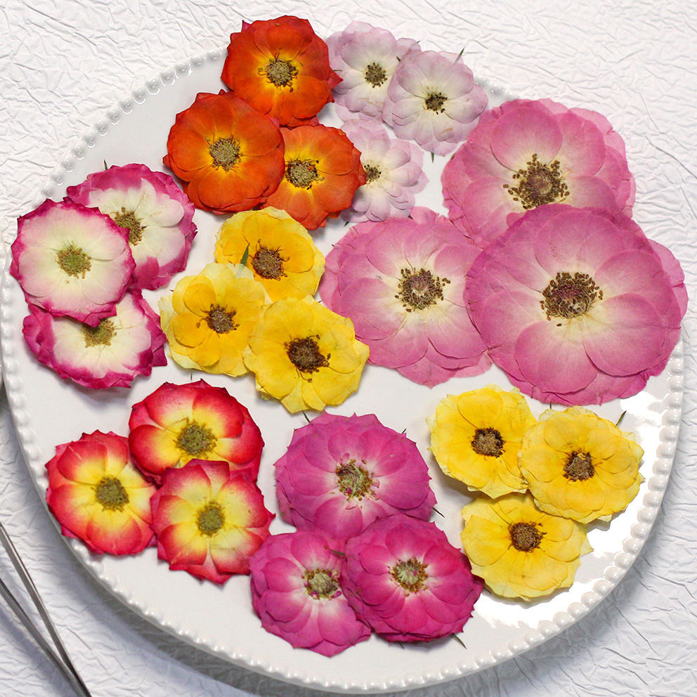 48 Yellow Mixed-Size Pressed R – обзор и цена Dried Flower Bouquet