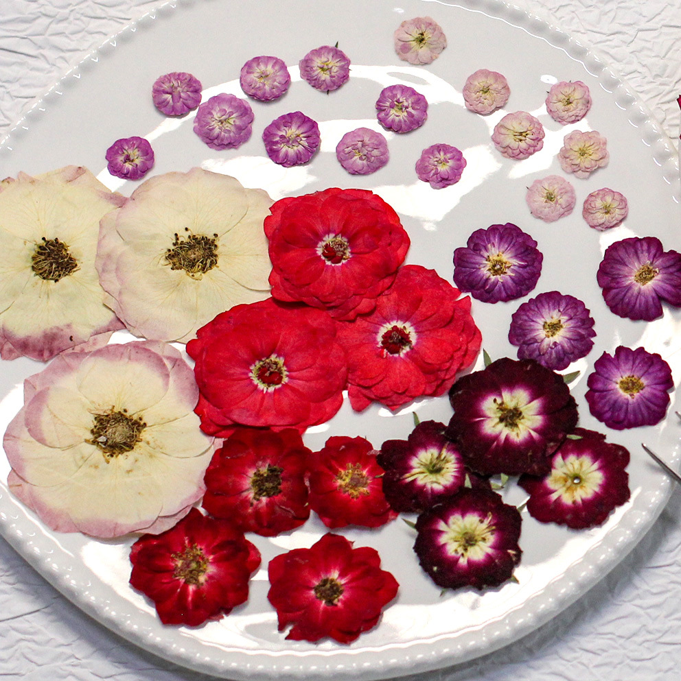 48 Yellow Mixed-Size Pressed R – обзор и цена Dried Flower Bouquet