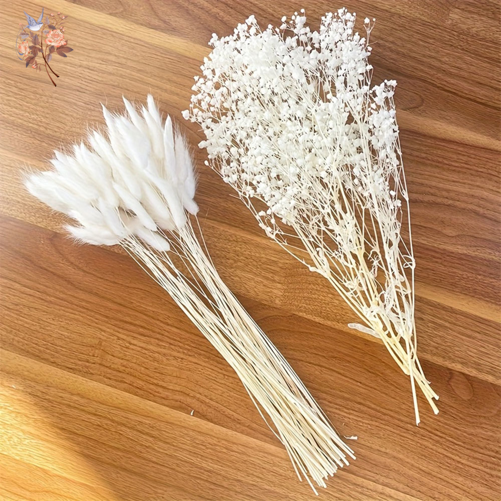 54Pcs White Dried Flower Brida – обзор и цена Dried Flower Bouquet