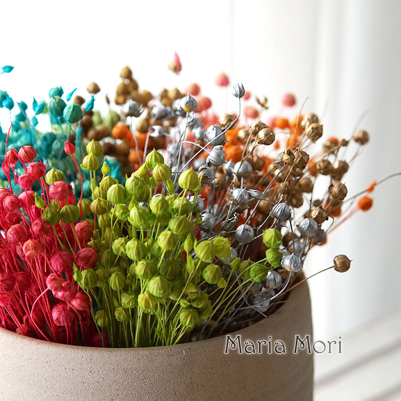 5g Preserved Flax Bean Natural – обзор и цена Dried Flower Bouquet
