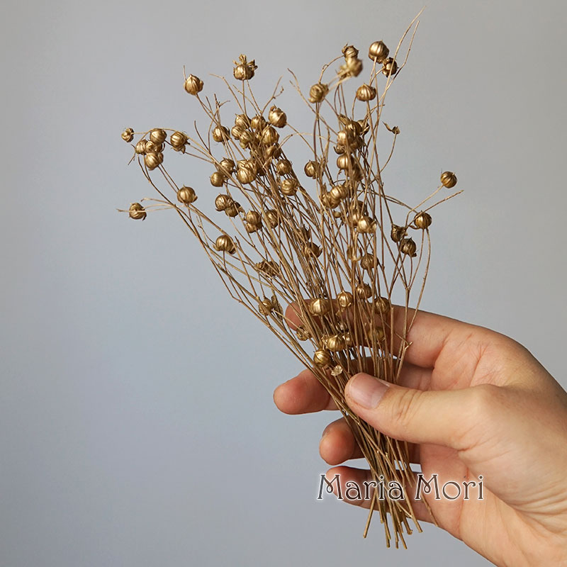 5g Preserved Flax Bean Natural – обзор и цена Dried Flower Bouquet