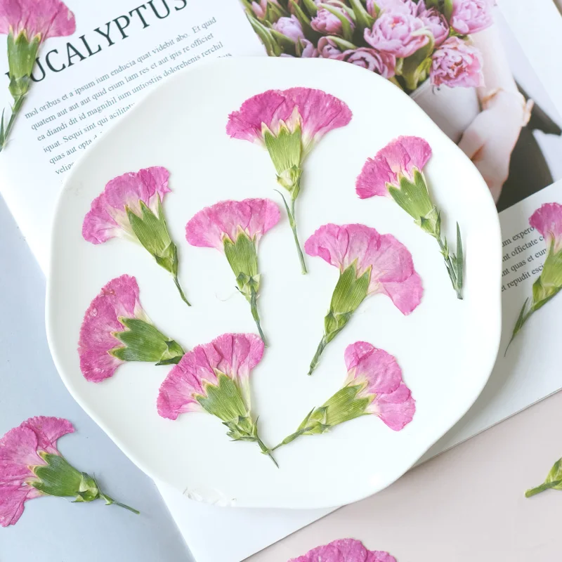 6pcs/4-7cm,Carnation dried flo – обзор и цена Dried Flower Bouquet