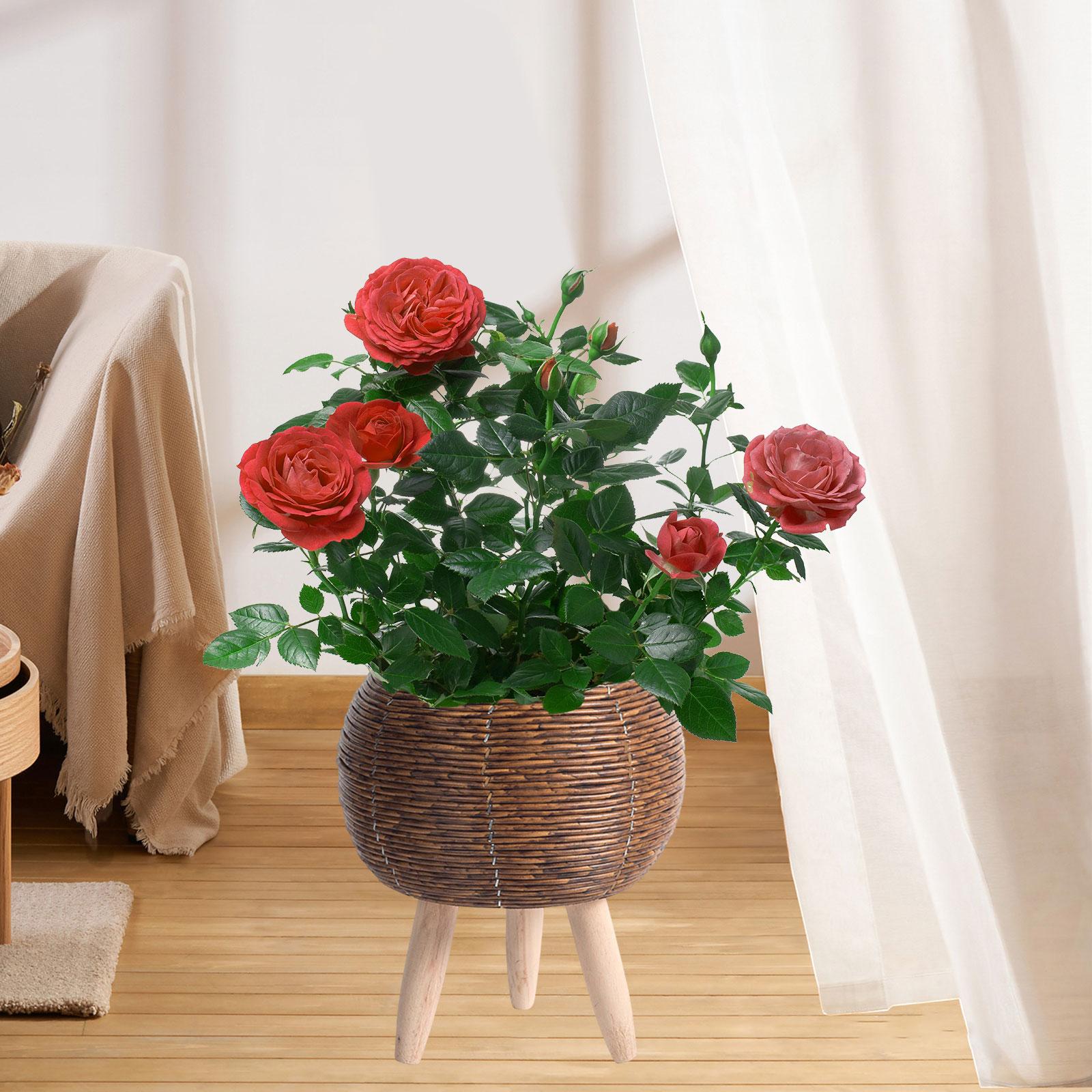 Woven Basket with Stand Indoor – обзор и цена Home Decor Rattan