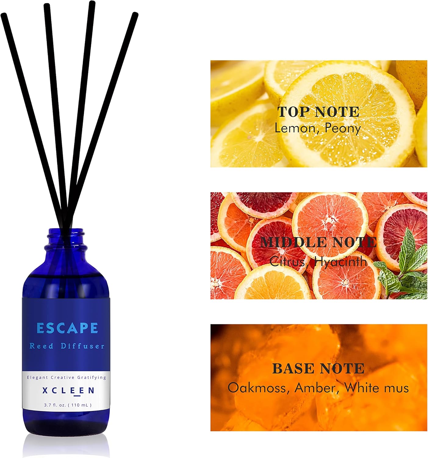 Reed Diffuser Set 3.7oz, Home  – обзор и цена Home Decor Rattan