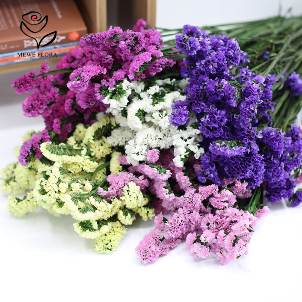 100g Dried Forget Me Not Flowe – обзор и цена Dried Flower Bouquet