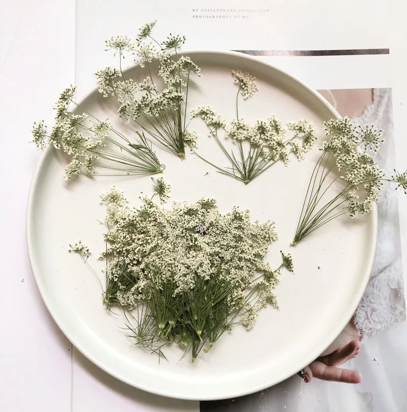 5-7cm/12pcs,Snow Tiny Flowers  – обзор и цена Dried Flower Bouquet
