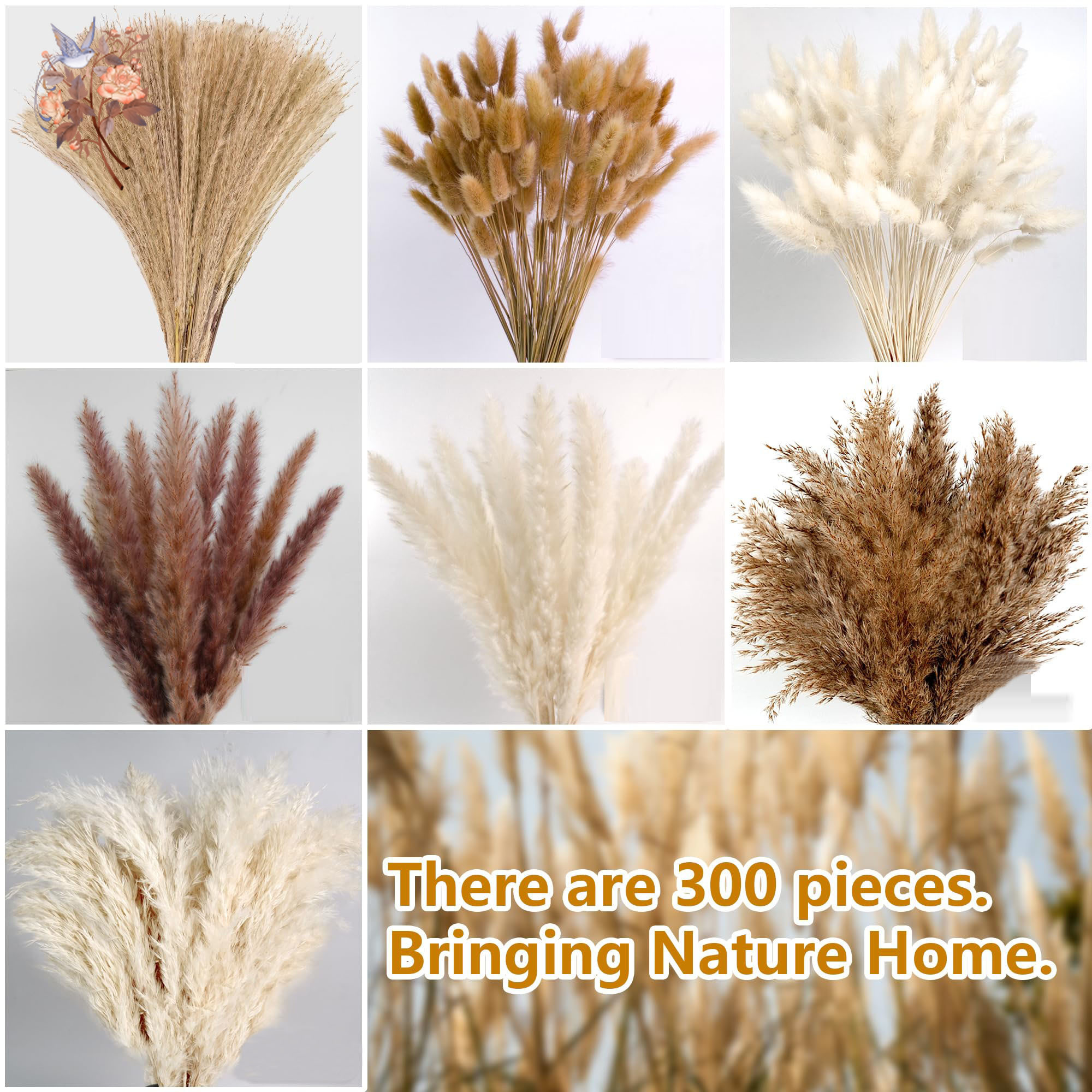 300Pcs Natural Large Pampas Gr – обзор и цена Dried Flower Bouquet