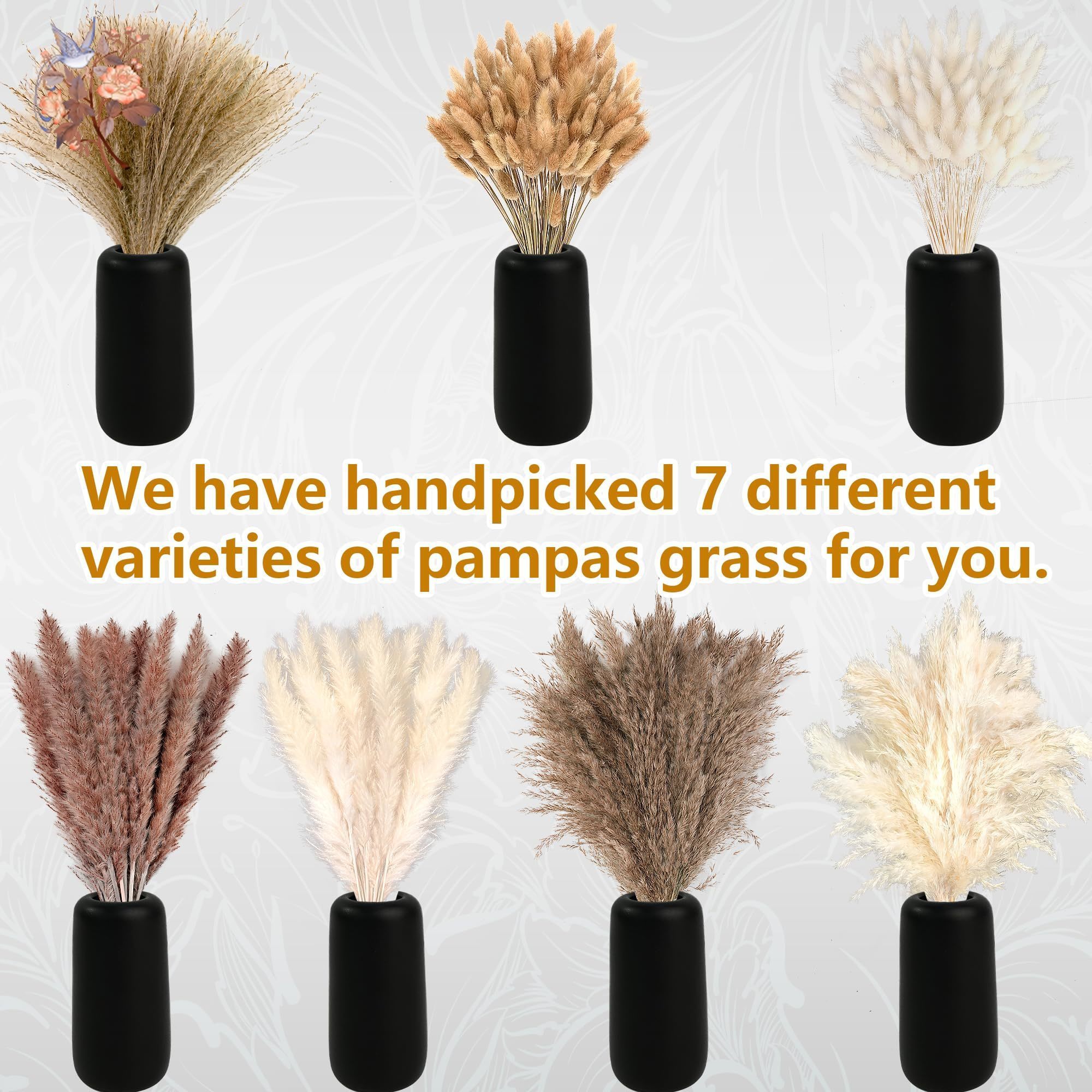 300Pcs Natural Large Pampas Gr – обзор и цена Dried Flower Bouquet