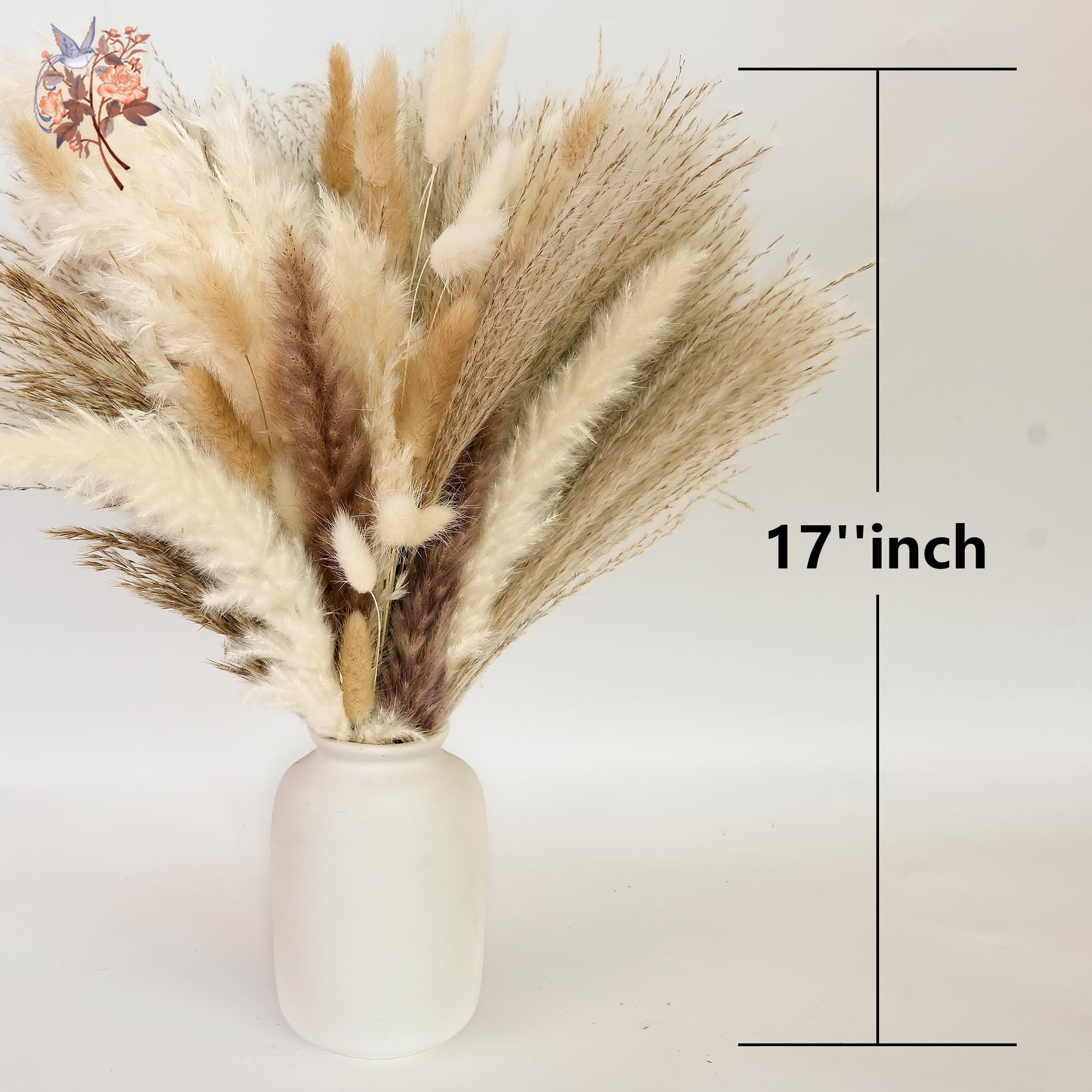 300Pcs Natural Large Pampas Gr – обзор и цена Dried Flower Bouquet