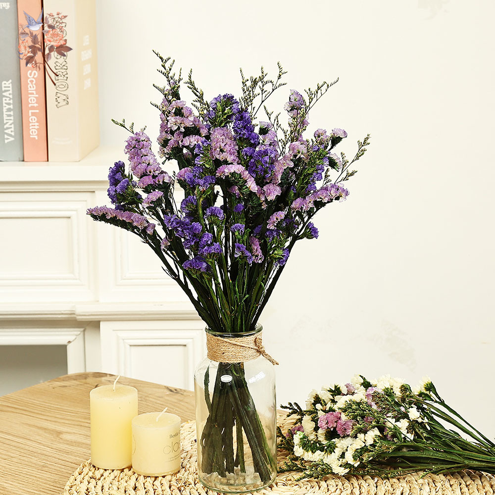 100g Natural Real Forget-me-no – обзор и цена Dried Flower Bouquet