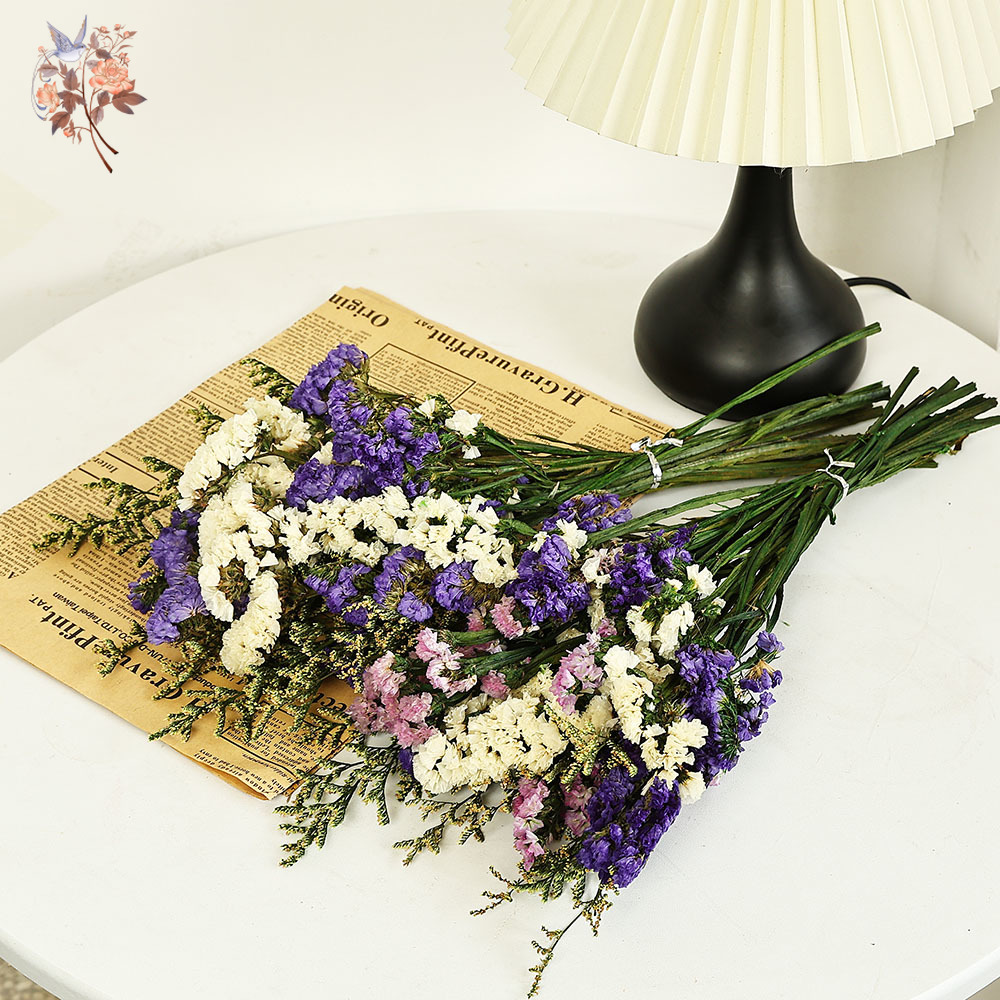 100g Natural Real Forget-me-no – обзор и цена Dried Flower Bouquet
