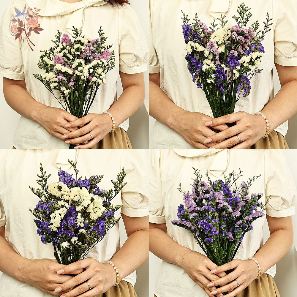 100g Natural Real Forget-me-no – обзор и цена Dried Flower Bouquet