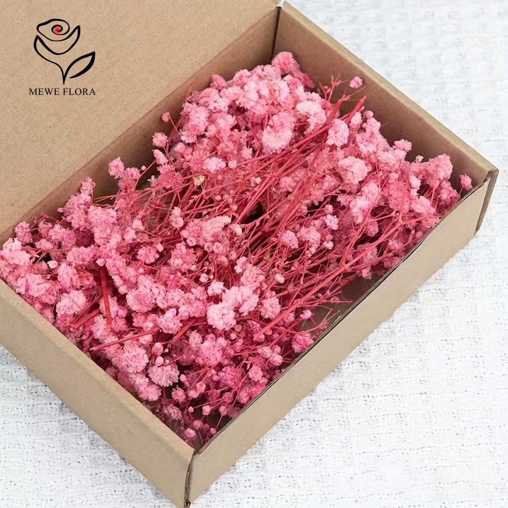 100 Small Branch Dried Baby's  – обзор и цена Dried Flower Bouquet