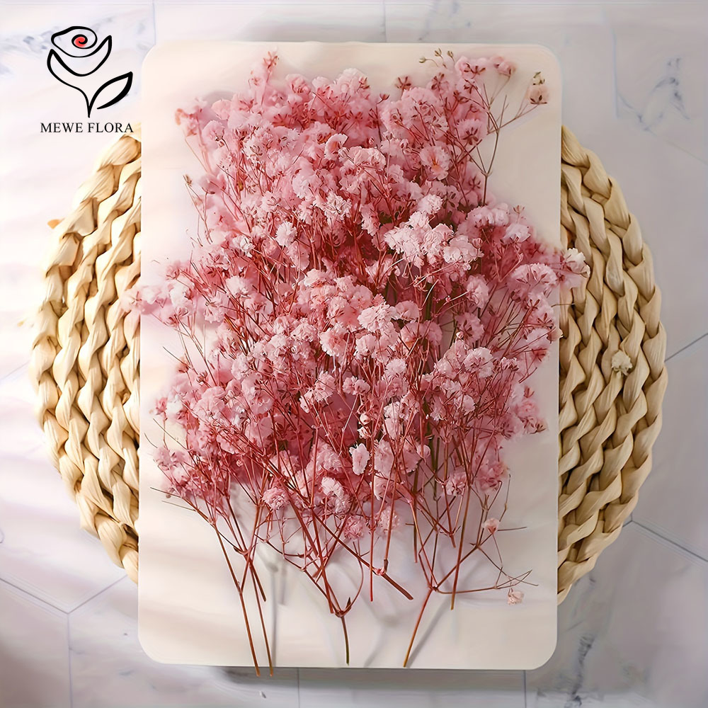 100 Small Branch Dried Baby's  – обзор и цена Dried Flower Bouquet