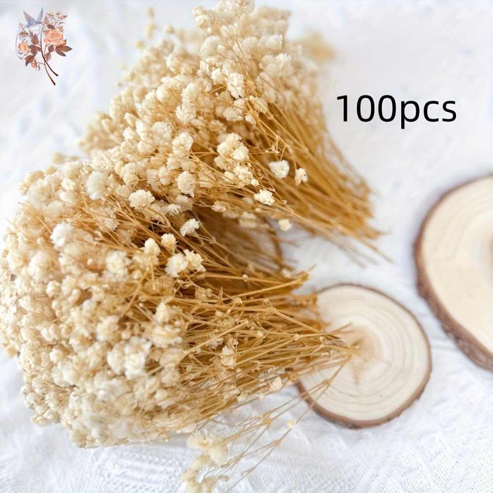 100pcs Mini Dried Baby's Breat – обзор и цена Dried Flower Bouquet