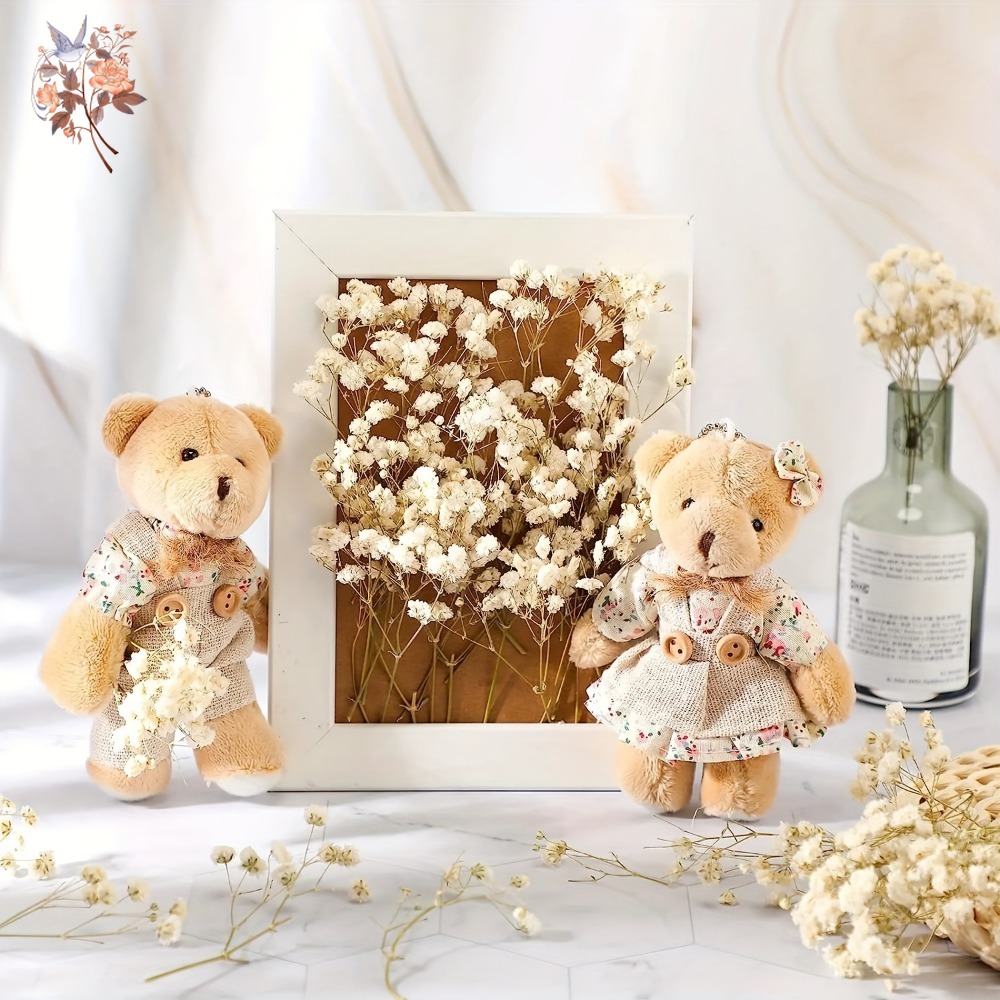 100pcs Mini Dried Baby's Breat – обзор и цена Dried Flower Bouquet