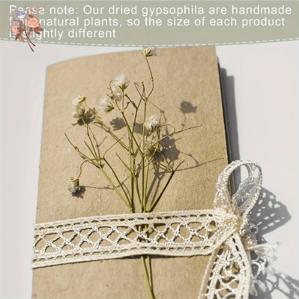 100pcs Mini Dried Baby's Breat – обзор и цена Dried Flower Bouquet